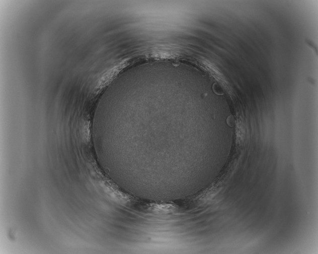 X0000101970401200807251215