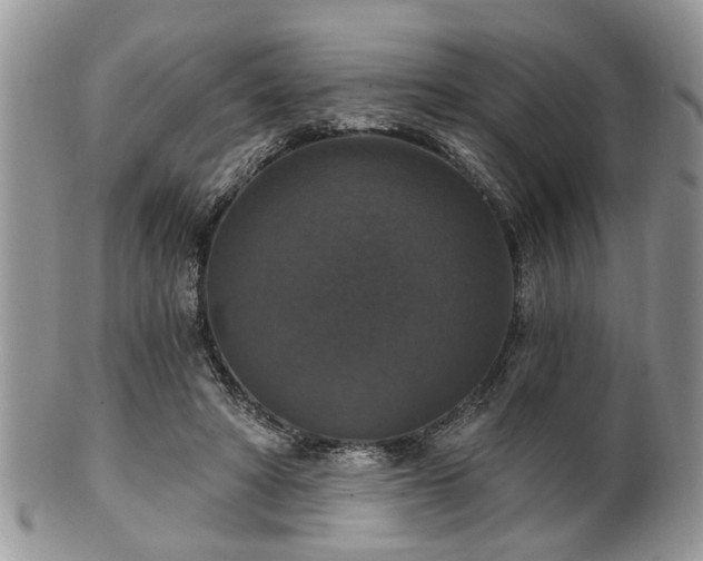 X0000101970402200807251215