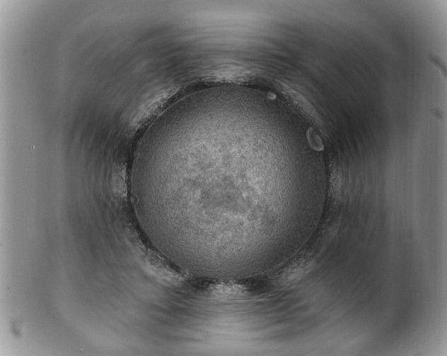 X0000101970403200807251215