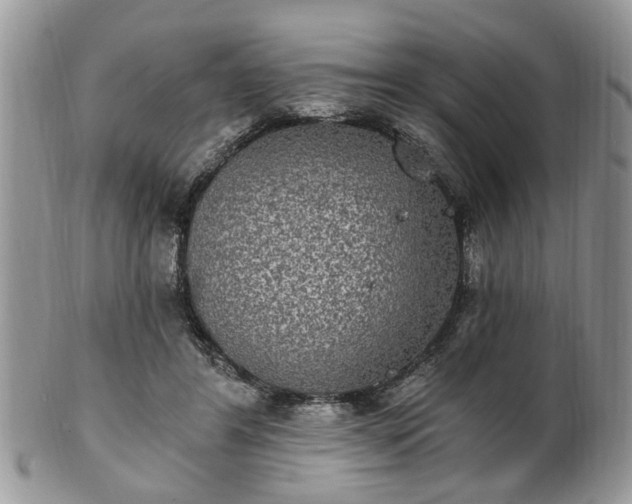 X0000101970404200807251215
