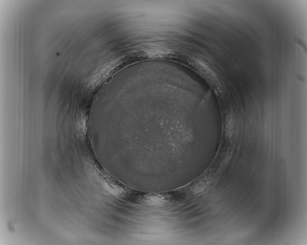 X0000101970405200807251215