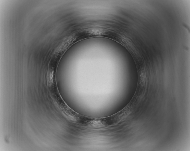 X0000101970406200807251215