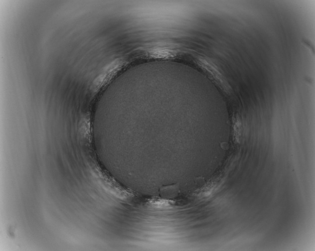 X0000101970407200807251215