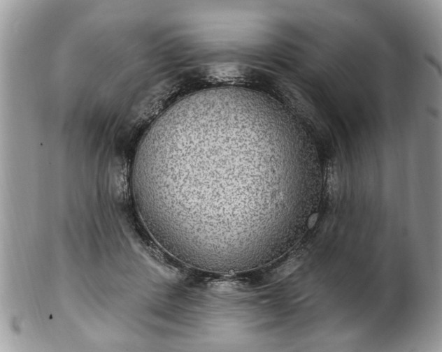 X0000101970408200807251215