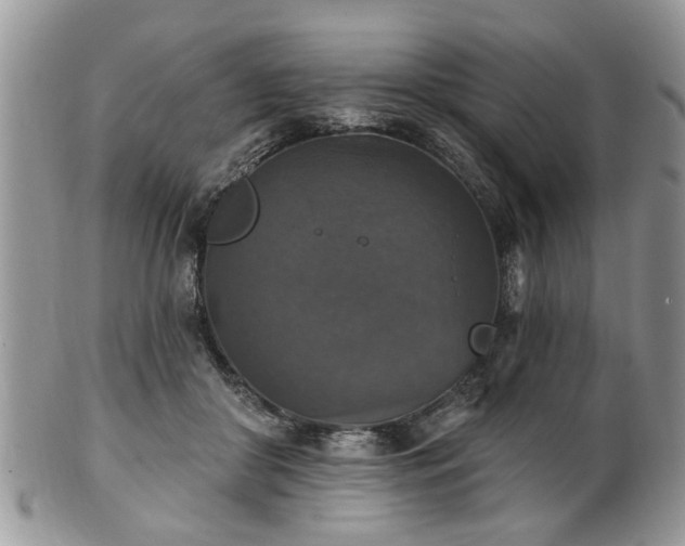 X0000101970410200807251215