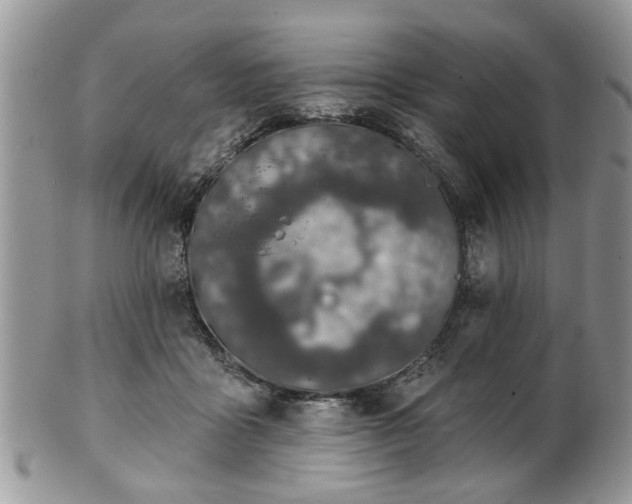 X0000101970411200807251215