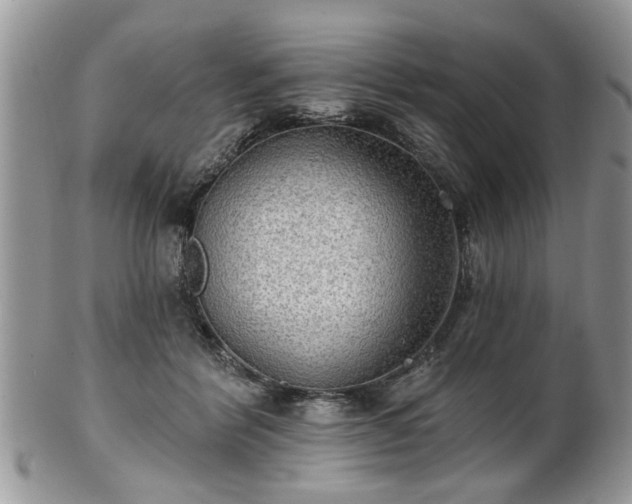 X0000101970412200807251215