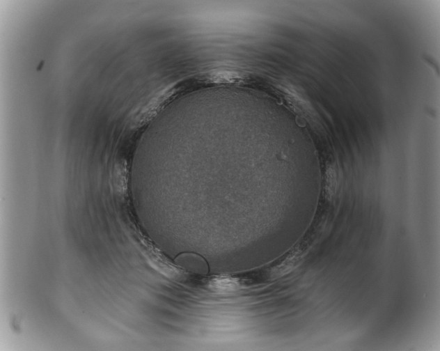 X0000101970413200807251215
