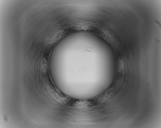 X0000101970414200807251215