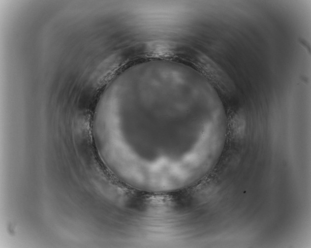 X0000101970415200807251215