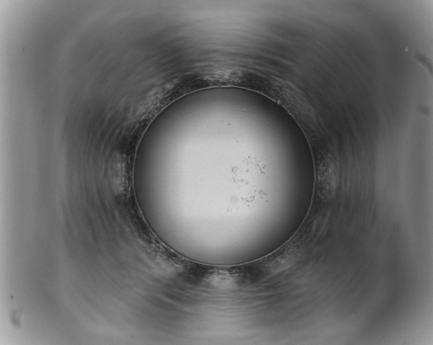 X0000101970416200807251215