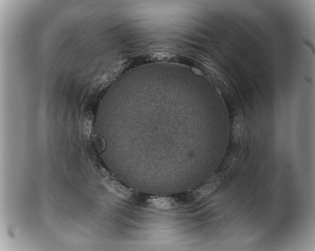 X0000101970417200807251215