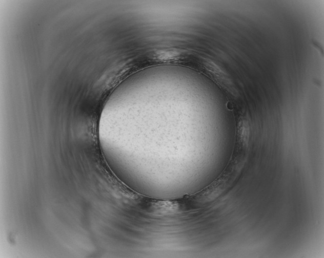 X0000101970421200807251215