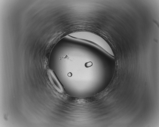 X0000101970423200807251215