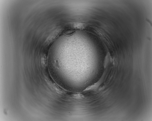 X0000101970424200807251215
