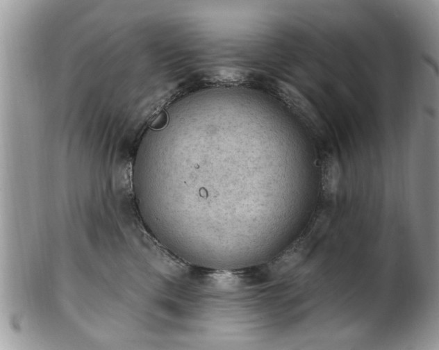 X0000101970425200807251215