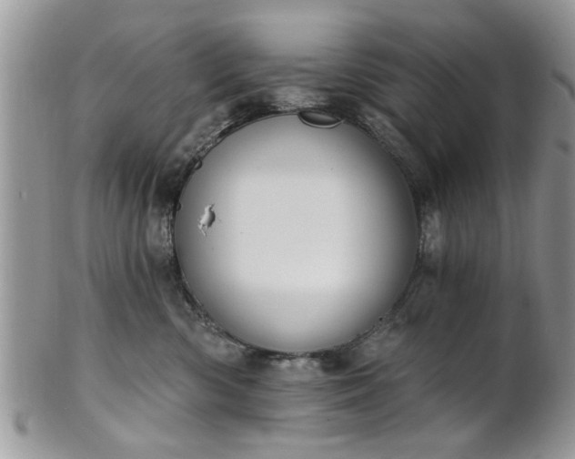 X0000101970426200807251215