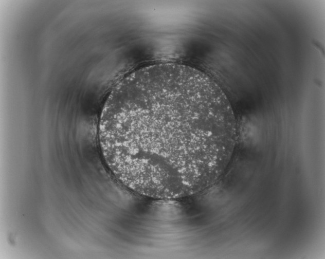 X0000101970427200807251215