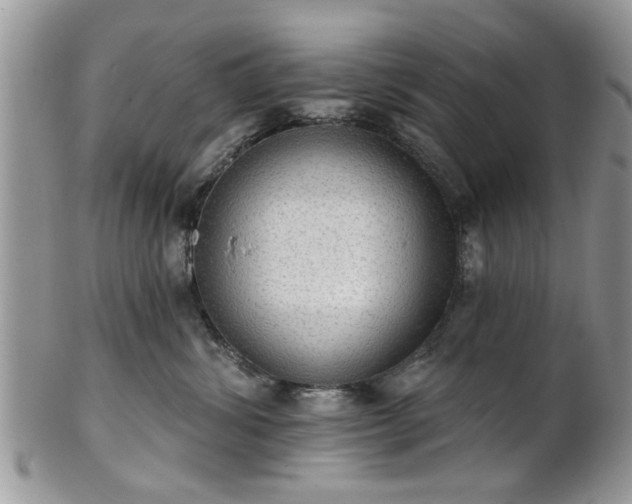 X0000101970428200807251215