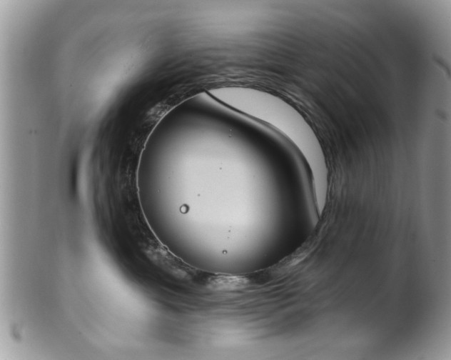 X0000101970429200807251215