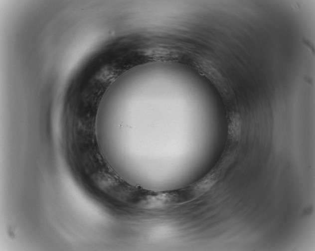 X0000101970430200807251215