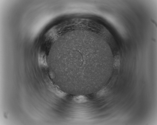 X0000101970431200807251215