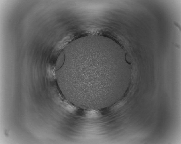 X0000101970432200807251215