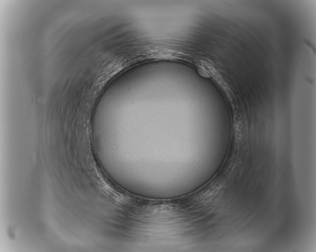 X0000101970433200807251214