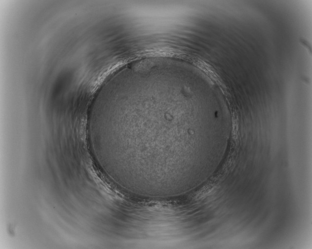 X0000101970434200807251214