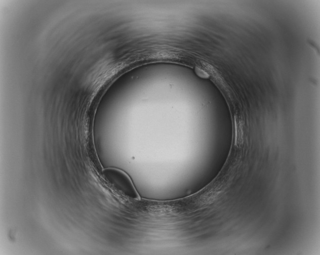 X0000101970435200807251214