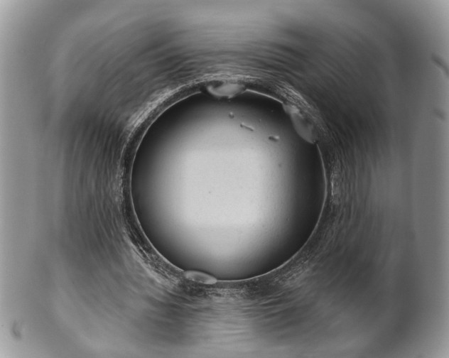X0000101970436200807251214