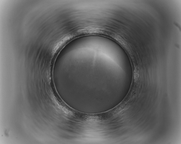 X0000101970438200807251214