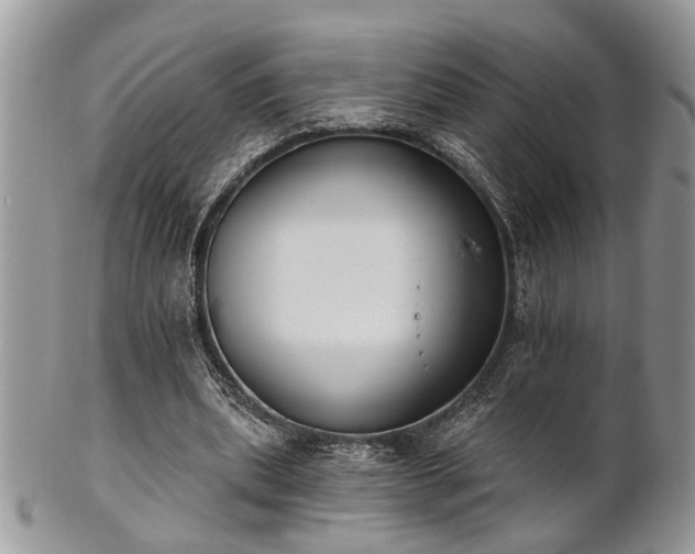 X0000101970439200807251214