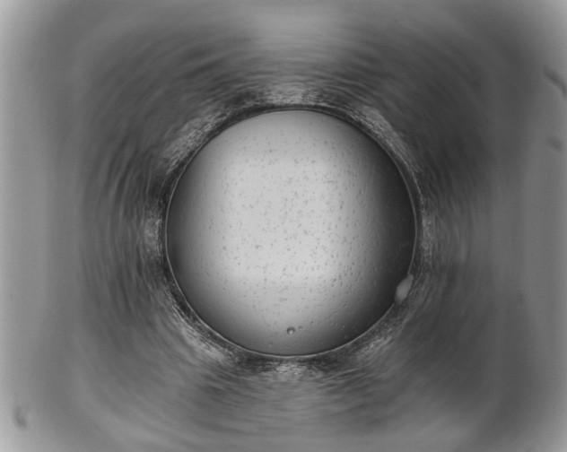 X0000101970441200807251214
