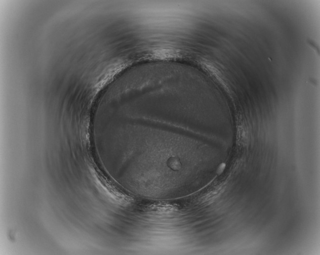 X0000101970443200807251215