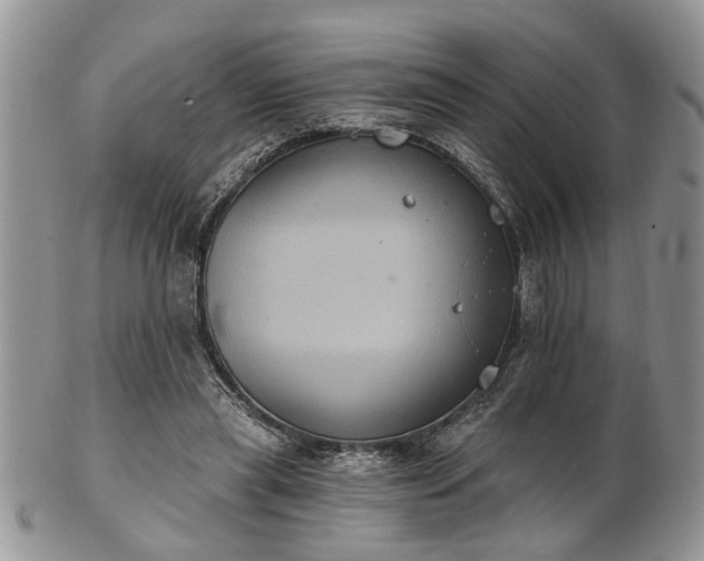 X0000101970445200807251215