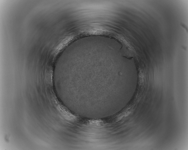 X0000101970446200807251215