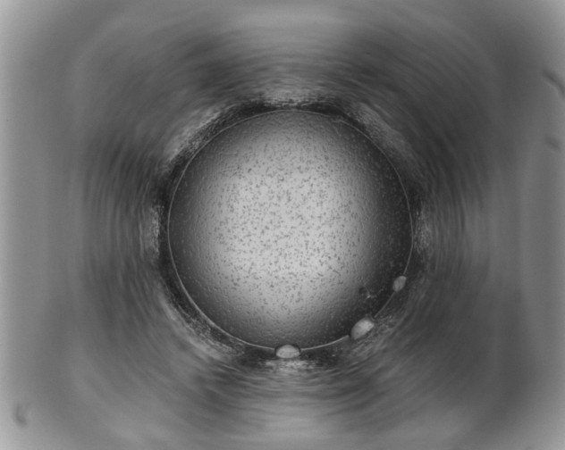 X0000101970448200807251215