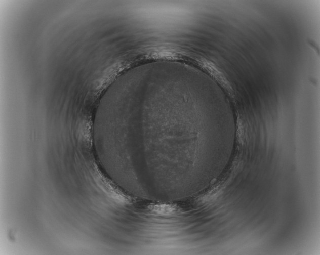 X0000101970449200807251215