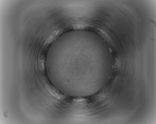 X0000101970452200807251215