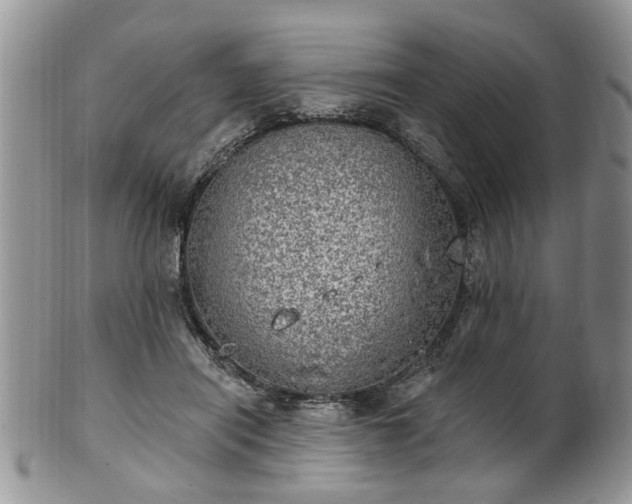 X0000101970454200807251215