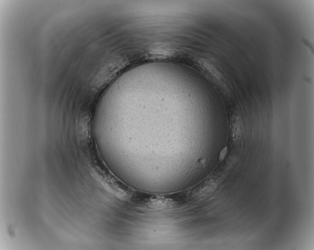 X0000101970455200807251215