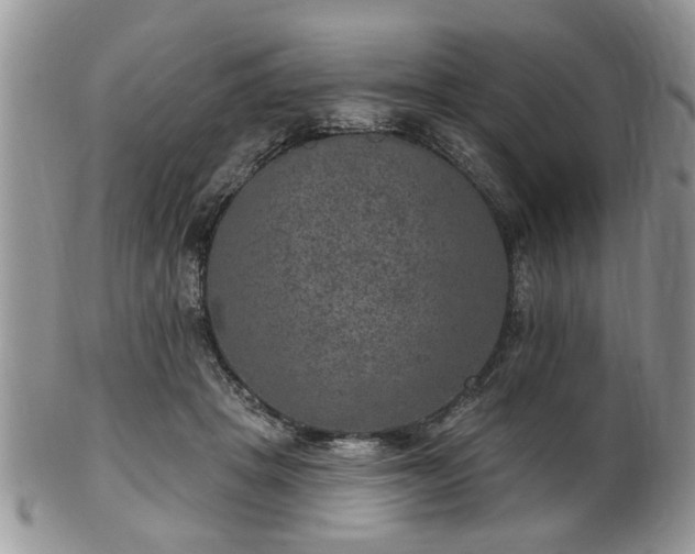X0000101970457200807251215