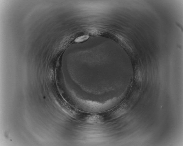 X0000101970459200807251215