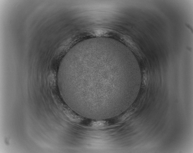 X0000101970461200807251215