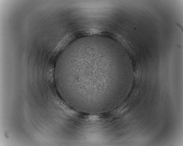 X0000101970462200807251215