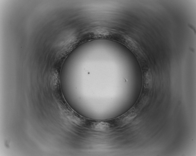 X0000101970463200807251215