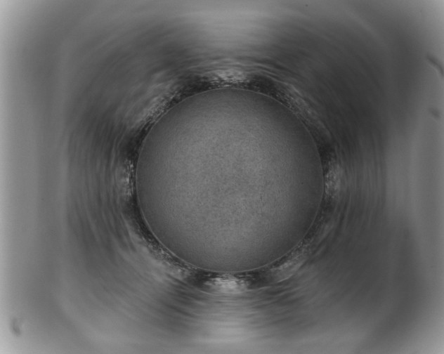 X0000101970464200807251215