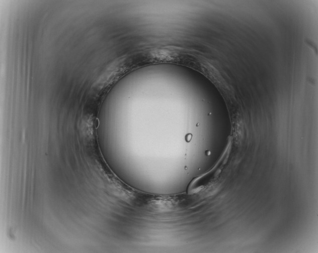 X0000101970466200807251215
