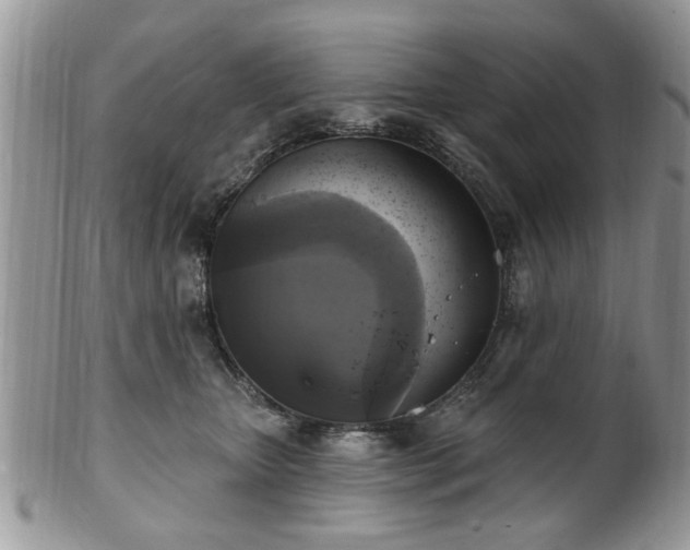 X0000101970467200807251215